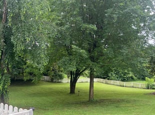 Brad C.'s grass maintenance service result