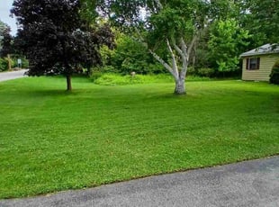 Tiffany C.'s lawn care services service result