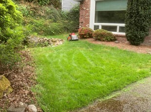 Christine W.'s lawn maintenance service result