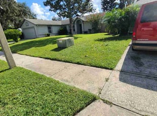 Ted C.'s landscaping services service result