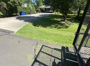 Cassandra D.'s lawn care service result
