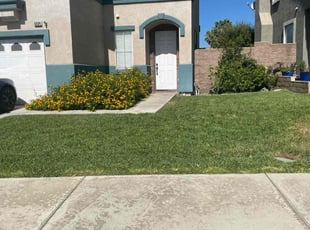 Joanna J.'s turf care service result