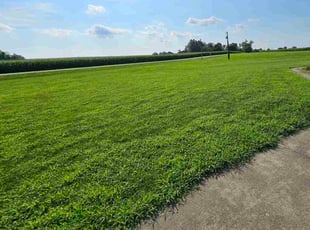 Hua Z.'s turf maintenance service result