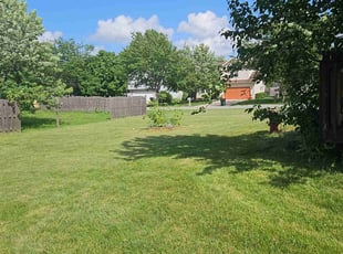 Geoff B.'s lawn care service result