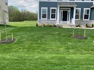 Kelly M.'s lawn care services service result