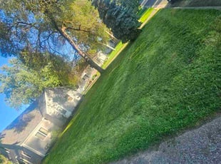 Jacqueline R.'s grass maintenance service result