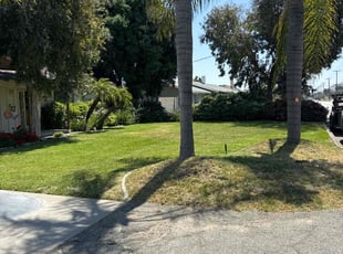 Winter C.'s lawn maintenance service result