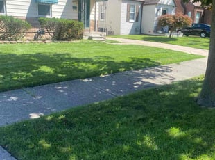 Jennifer D.'s lawn care service result