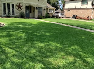 Marisol A.'s turf maintenance service result