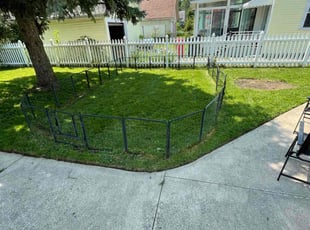 Christopher h.'s turf maintenance service result