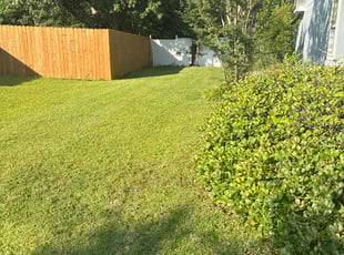 Tracy O.'s grass cutting service result