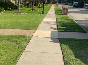 Lauren B.'s turf maintenance service result