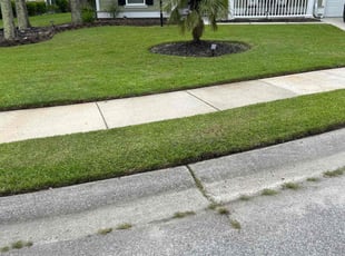 Tyler B.'s turf care service result