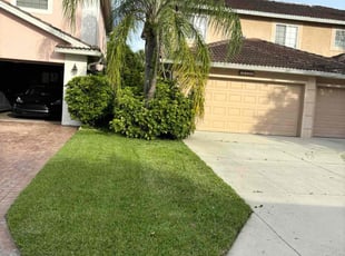 Brian T.'s lawn care service result