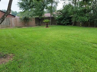 Kaitlin S.'s lawn care services service result