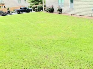 Debra D.'s grass maintenance service result
