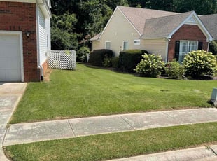Rodman R.'s grass maintenance service result