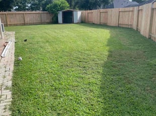 Brenda H.'s turf maintenance service result