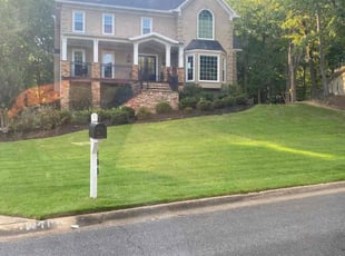 Pam B.'s turf maintenance service result