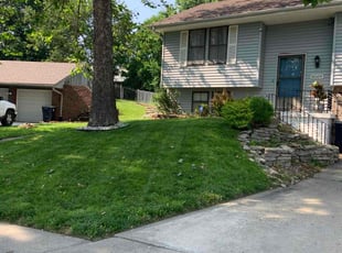 Nick S.'s turf care service result