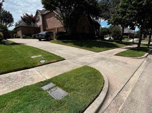 Jennifer B.'s turf care service result