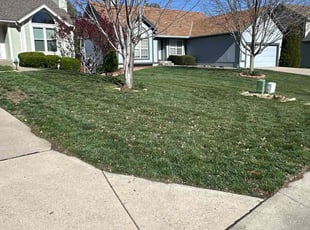 Sandi P.'s turf maintenance service result