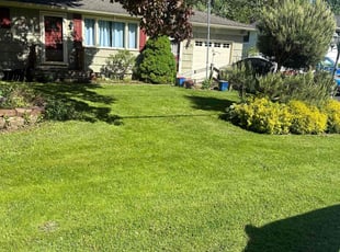 Jean D.'s turf care service result