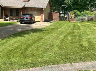 Chandra W.'s lawn care services service result