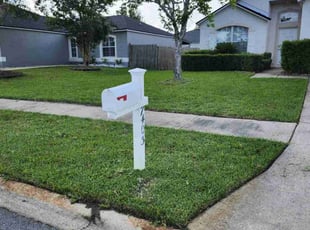 Rana B.'s lawn service service result