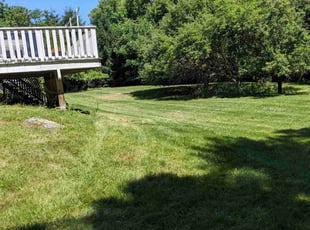 Phyllis F.'s lawn care services service result