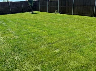 Christopher F.'s grass maintenance service result