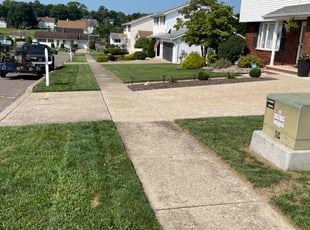 Cheryl P.'s lawn care services service result