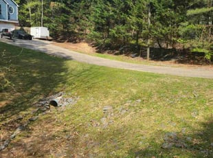 Tonda P.'s lawn maintenance service result