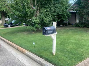 Michael R.'s turf care service result