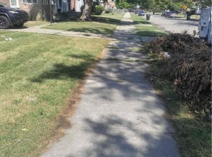 Jilin T.'s lawn care services service result