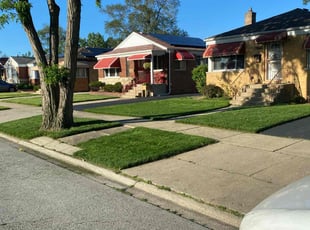 Megan S.'s grass cutting service result