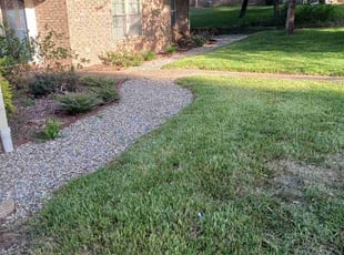 Livia F.'s lawn maintenance service result