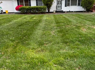 Rebecca F.'s lawn maintenance service result