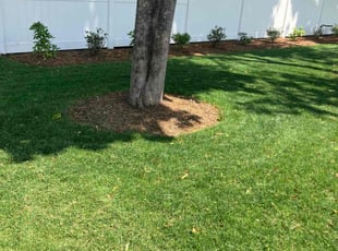 Briaunna W.'s turf maintenance service result