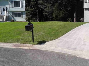 Martha B.'s grass maintenance service result