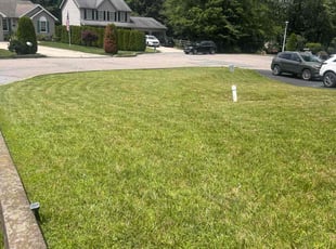 Scott M.'s grass maintenance service result