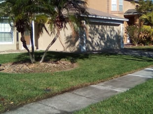 Raj D.'s lawn care service result
