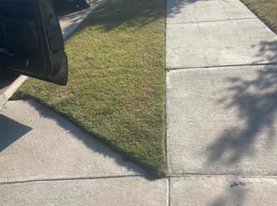 Oneil B.'s grass cutting service result