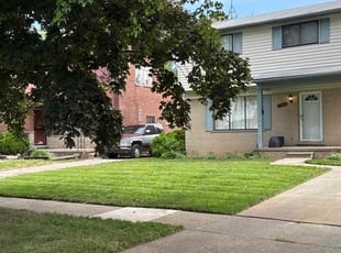 Dave H.'s grass maintenance service result