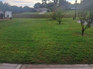 Robert H.'s turf maintenance service result