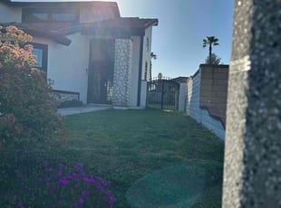 Michele T.'s lawn service service result
