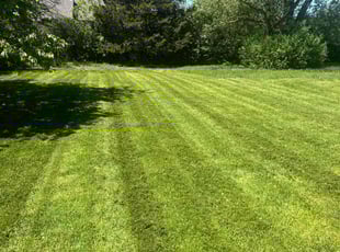 Nicole S.'s lawn care service result