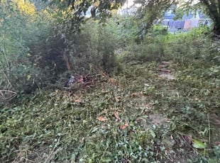 Annie G.'s turf care service result