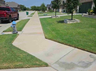 Beth R.'s turf maintenance service result