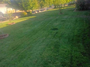 Henry L.'s lawn care service result